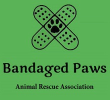 Bandaged Paws Animal Rescue