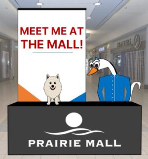 Meet Me at the Mall