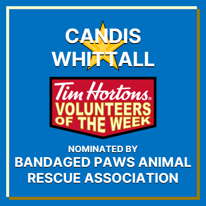 Candis Whittall nominated by Bandaged Paws Animal Rescue Association