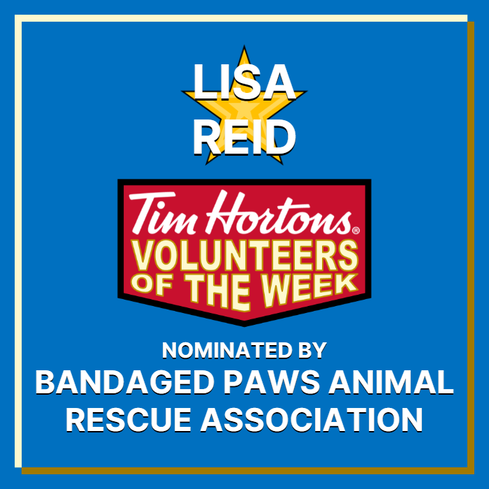 Lisa Reid nominated by Bandaged Paws Animal Rescue Association