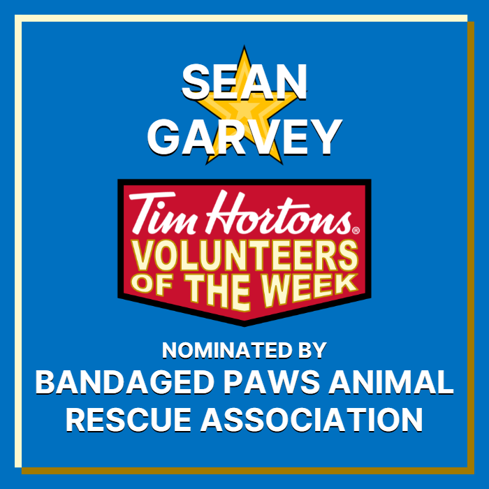 Sean Garvey nominated by Bandaged Paws Animal Rescue Association